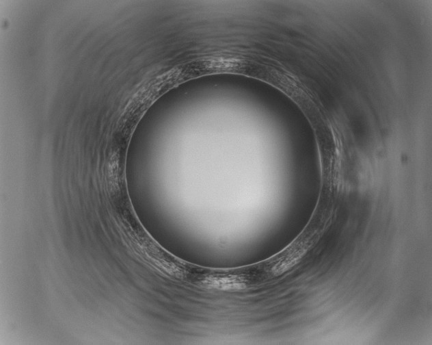 X0000054390557200508011256