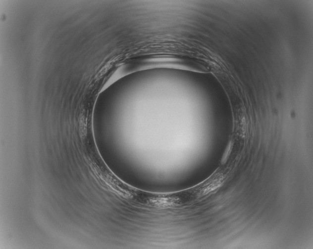 X0000054390558200508011256