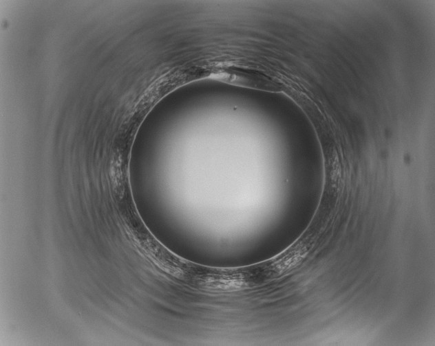 X0000054390559200508011256