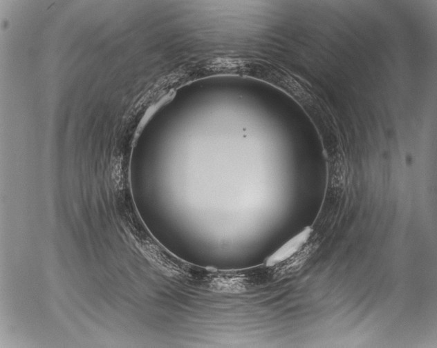 X0000054390560200508011256