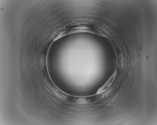 X0000054390562200508011256