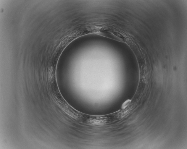 X0000054390563200508011256