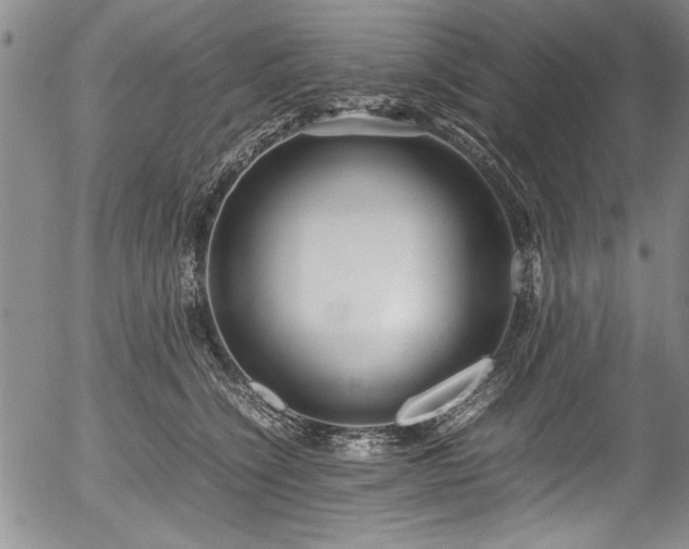 X0000054390564200508011256