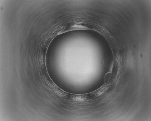 X0000054390565200508011256