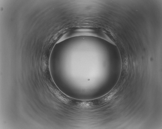 X0000054390566200508011256