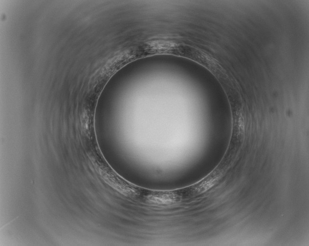 X0000054390567200508011256