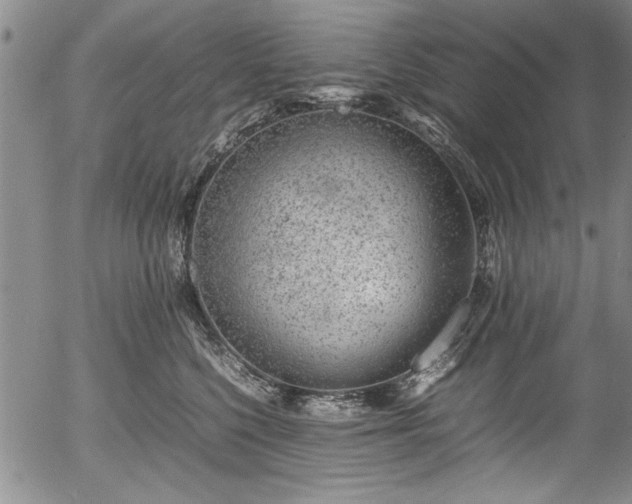 X0000054390568200508011256