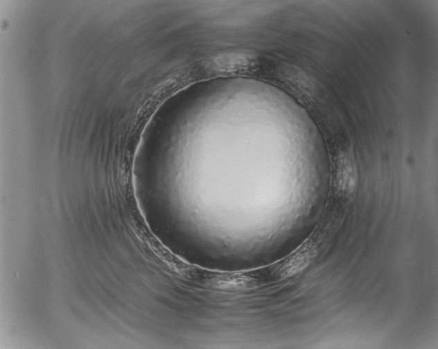 X0000054390569200508011256