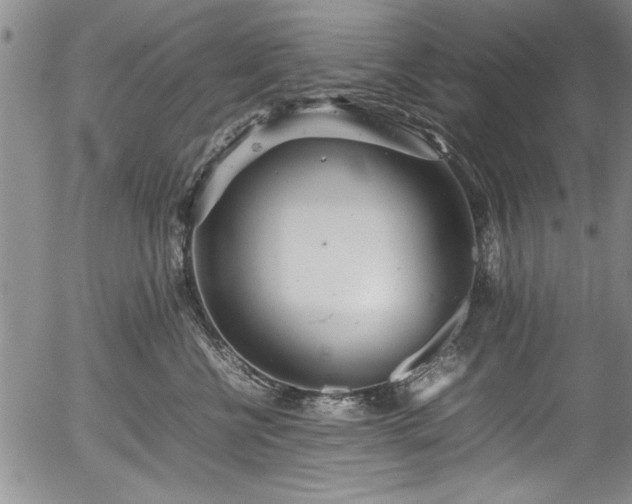 X0000054390570200508011256