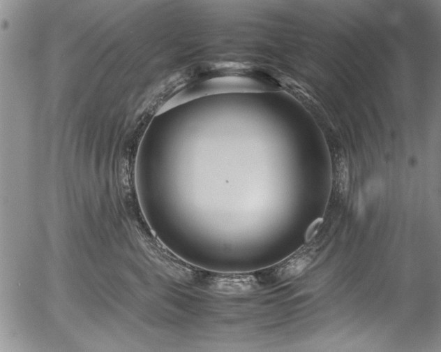 X0000054390571200508011256