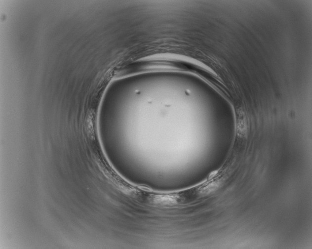 X0000054390573200508011256