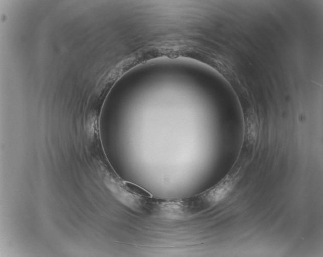 X0000054390574200508011256