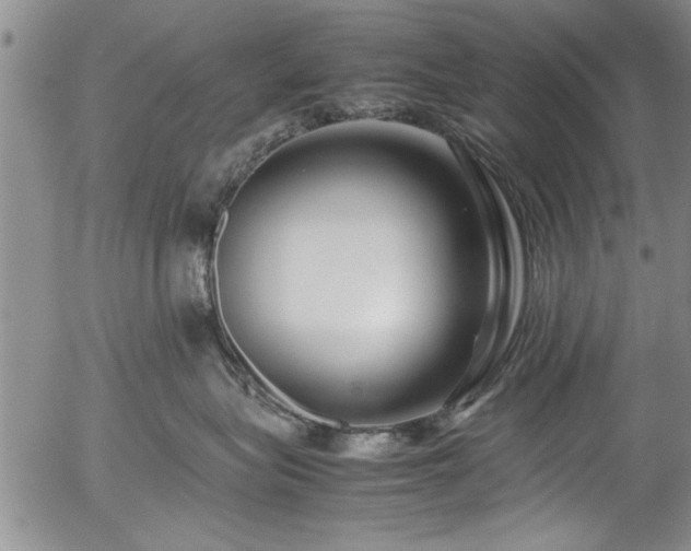 X0000054390575200508011256