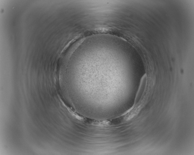 X0000054390576200508011256