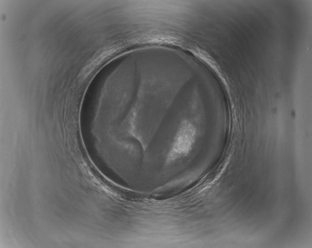 X0000054390577200508011255