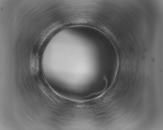 X0000054390584200508011255