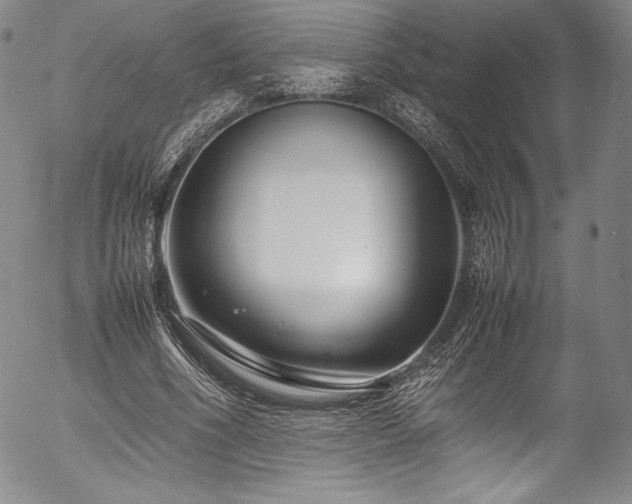 X0000054390586200508011255