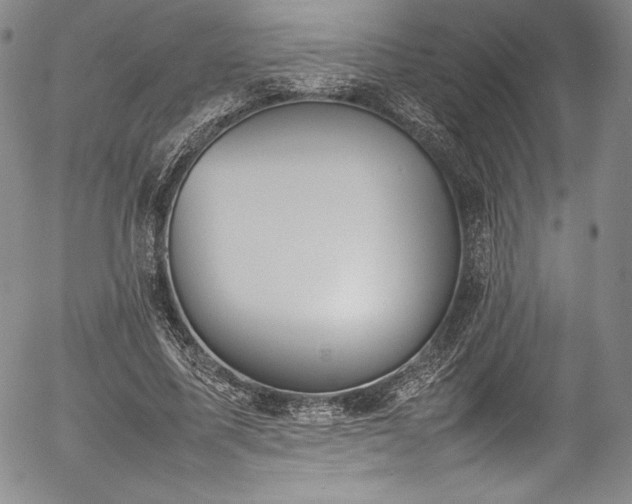 X0000054390587200508011255