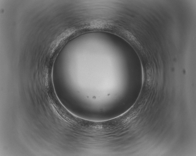 X0000054390588200508011255