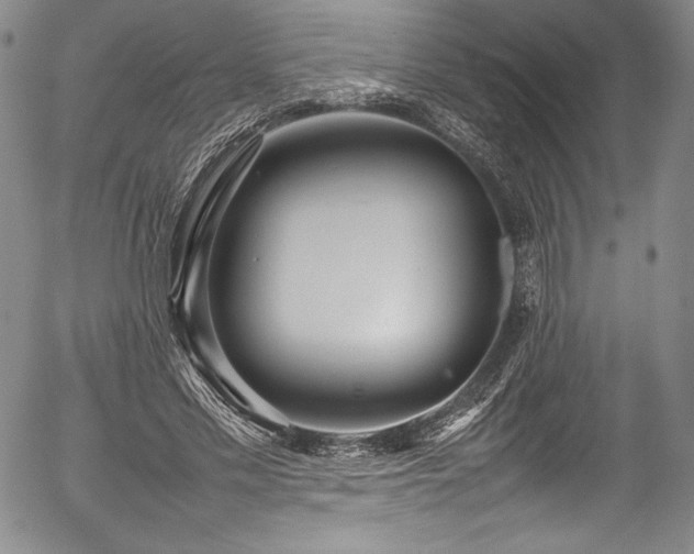 X0000054390589200508011255