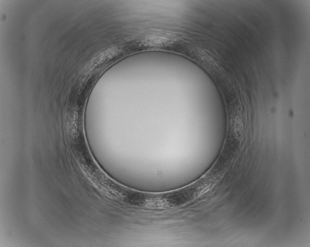 X0000054390591200508011255