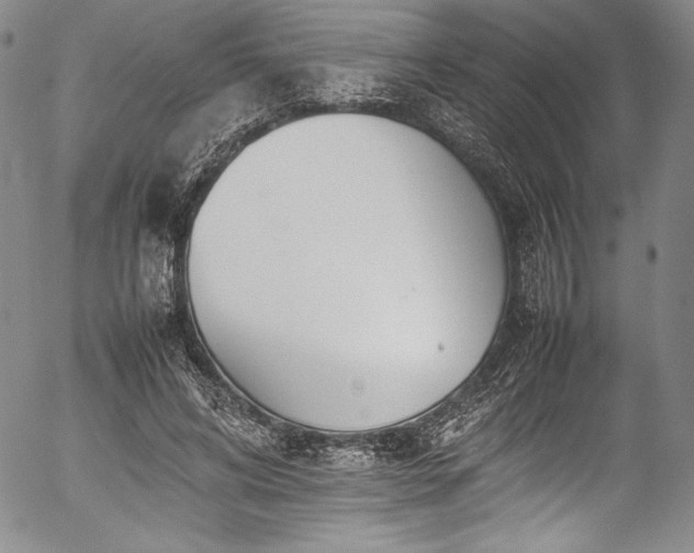 X0000054390592200508011255