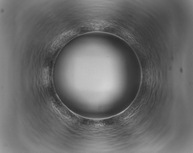 X0000054390594200508011255