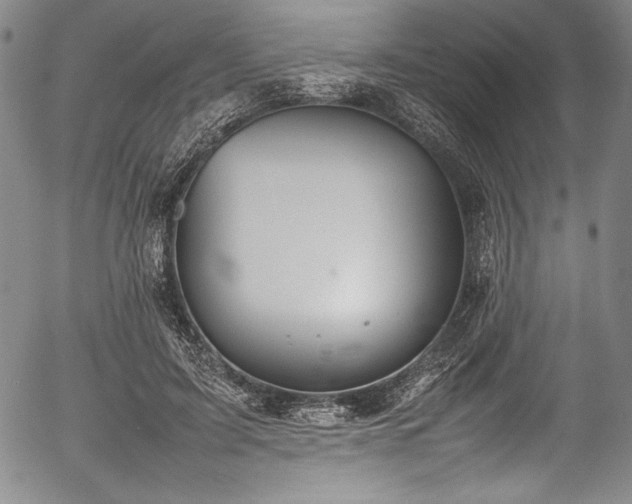 X0000054390595200508011255