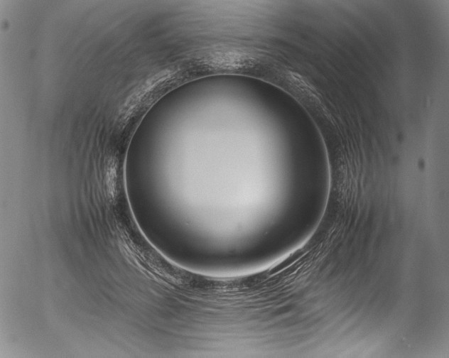 X0000054390596200508011255