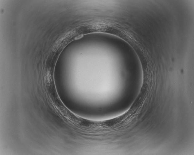 X0000054390597200508011255