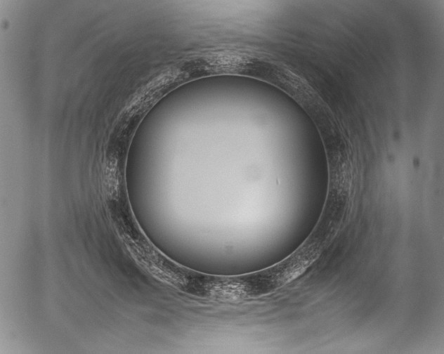 X0000054390599200508011255