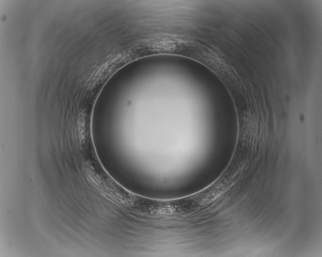 X0000054390600200508011255