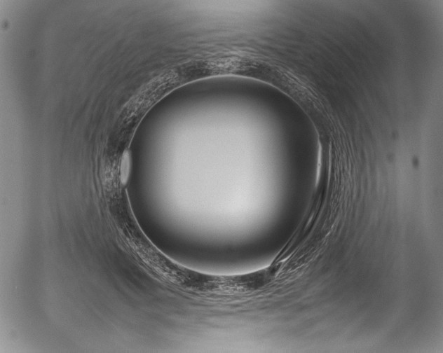 X0000054390601200508011255