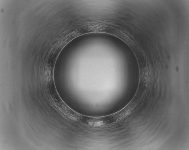 X0000054390602200508011255