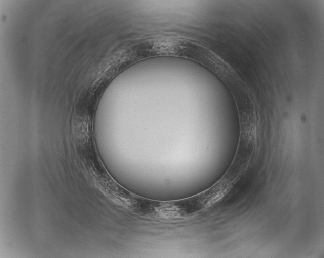 X0000054390603200508011255