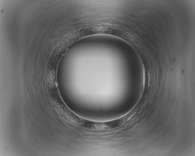 X0000054390605200508011255