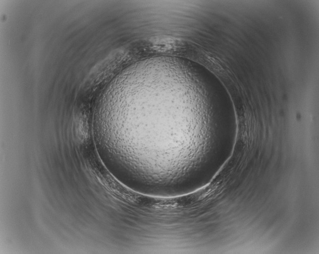 X0000054390606200508011255