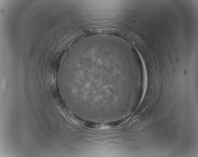 X0000054390607200508011255