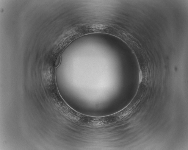 X0000054390608200508011255