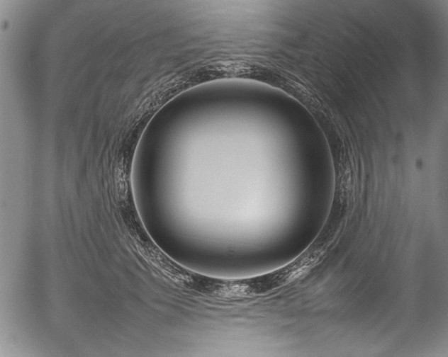 X0000054390609200508011255