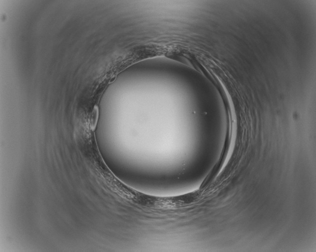 X0000054390613200508011255