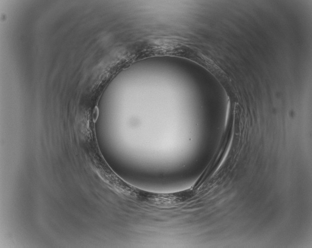 X0000054390615200508011255