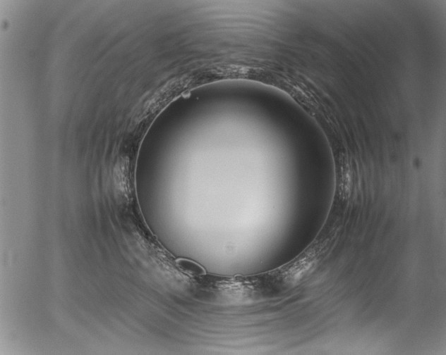 X0000054390616200508011255