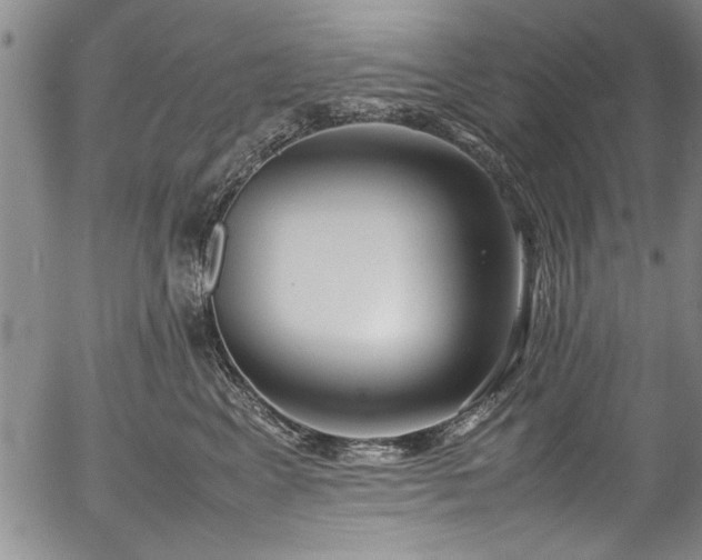 X0000054390617200508011255