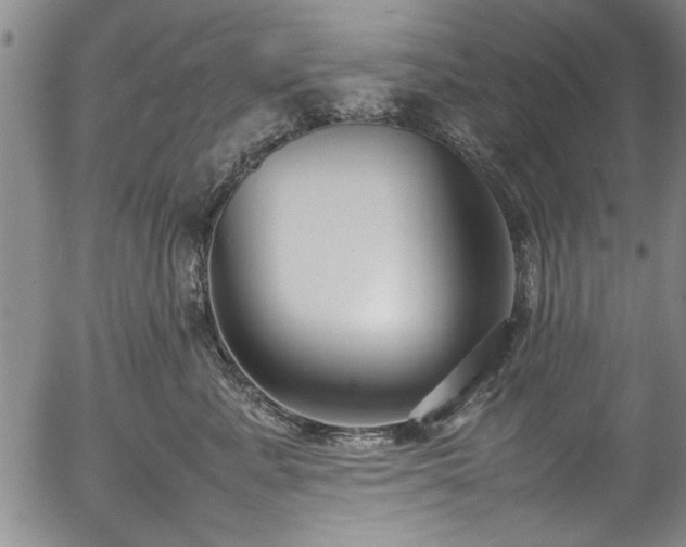 X0000054390619200508011254
