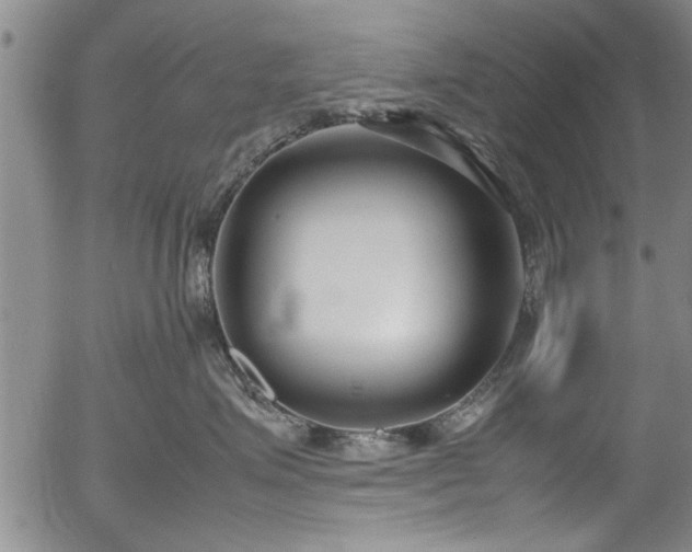 X0000054390623200508011254