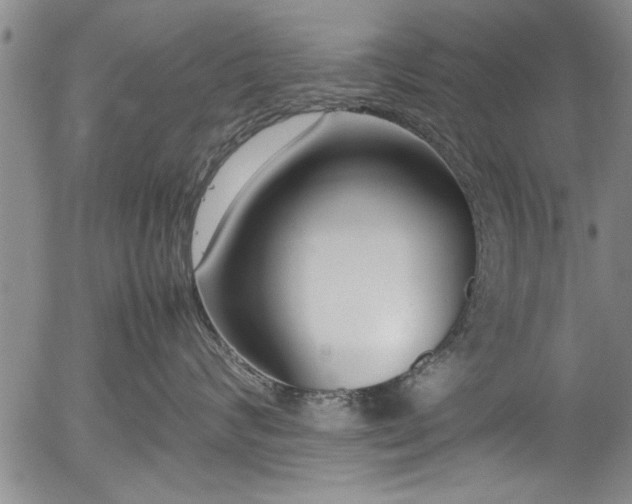 X0000054390624200508011254