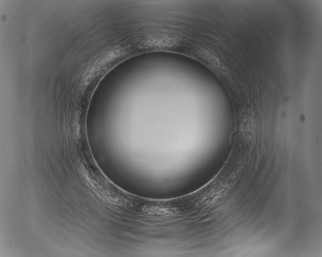 X0000054390635200508011254
