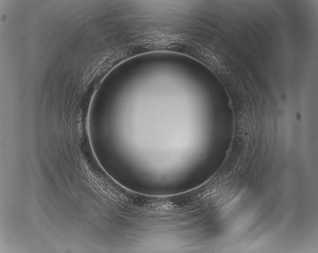 X0000054390642200508011254