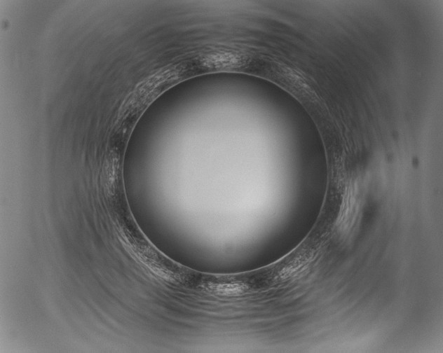 X0000054390645200508011254